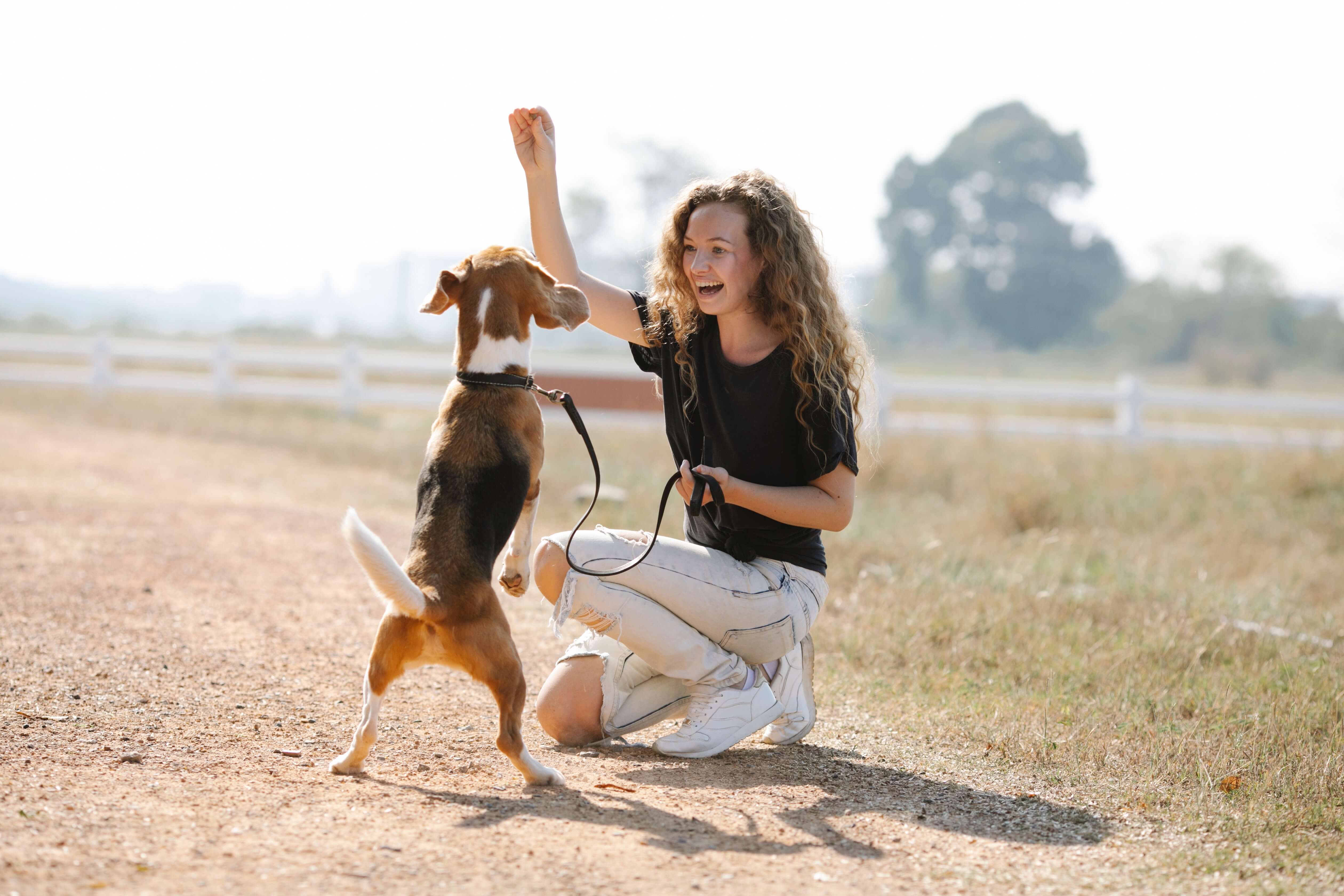 The Ultimate Guide to Training Your Dog: Tips and Tricks from Expert Trainers
