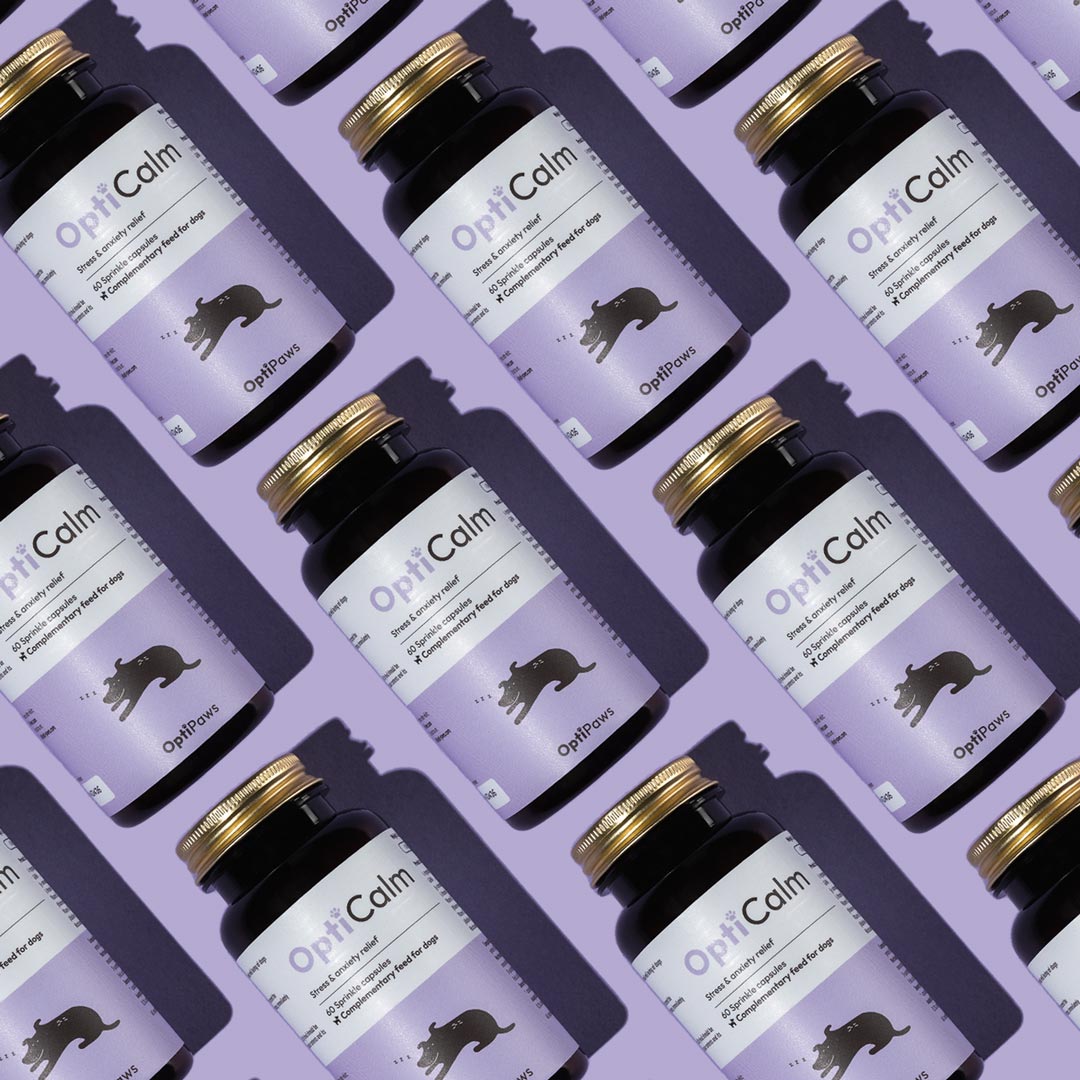 Obical Suplemen OptiCalm | Calming supplement for dogs – OptiPaws