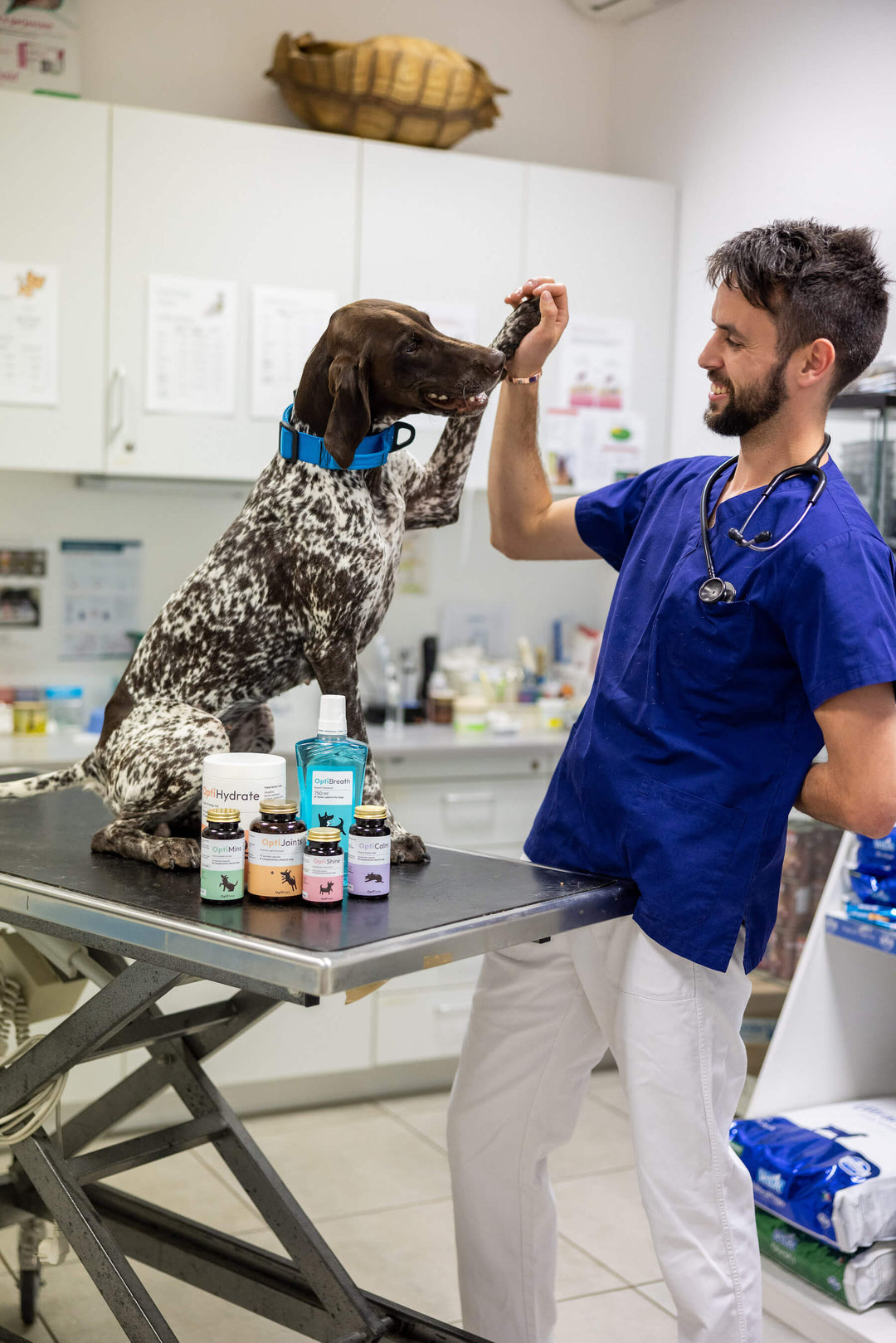 Premium veterinary formulated dog supplements | OptiPaws